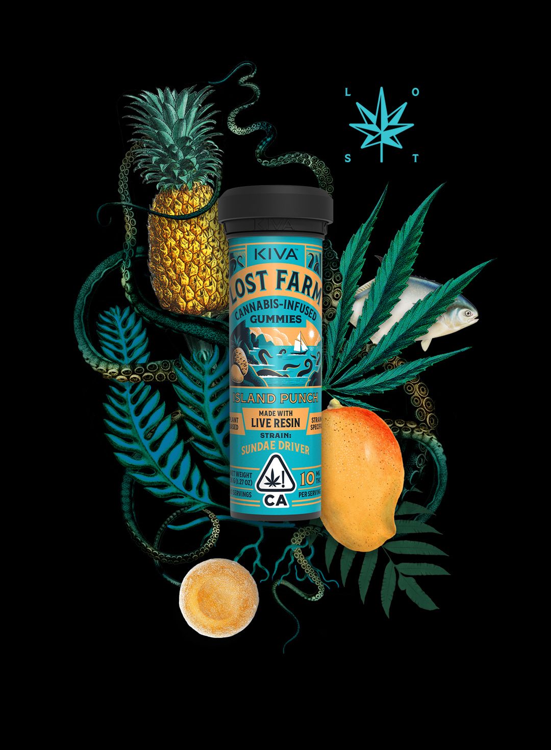 Where To Buy Lost Farm Gummies